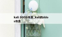kali DDOS攻击_kali的ddos攻击