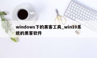 windows下的黑客工具_win10系统的黑客软件